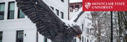 Red Hawk Statue covered in snow